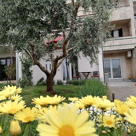 Leona Apartment Vidikovac, Pula Exterior photo