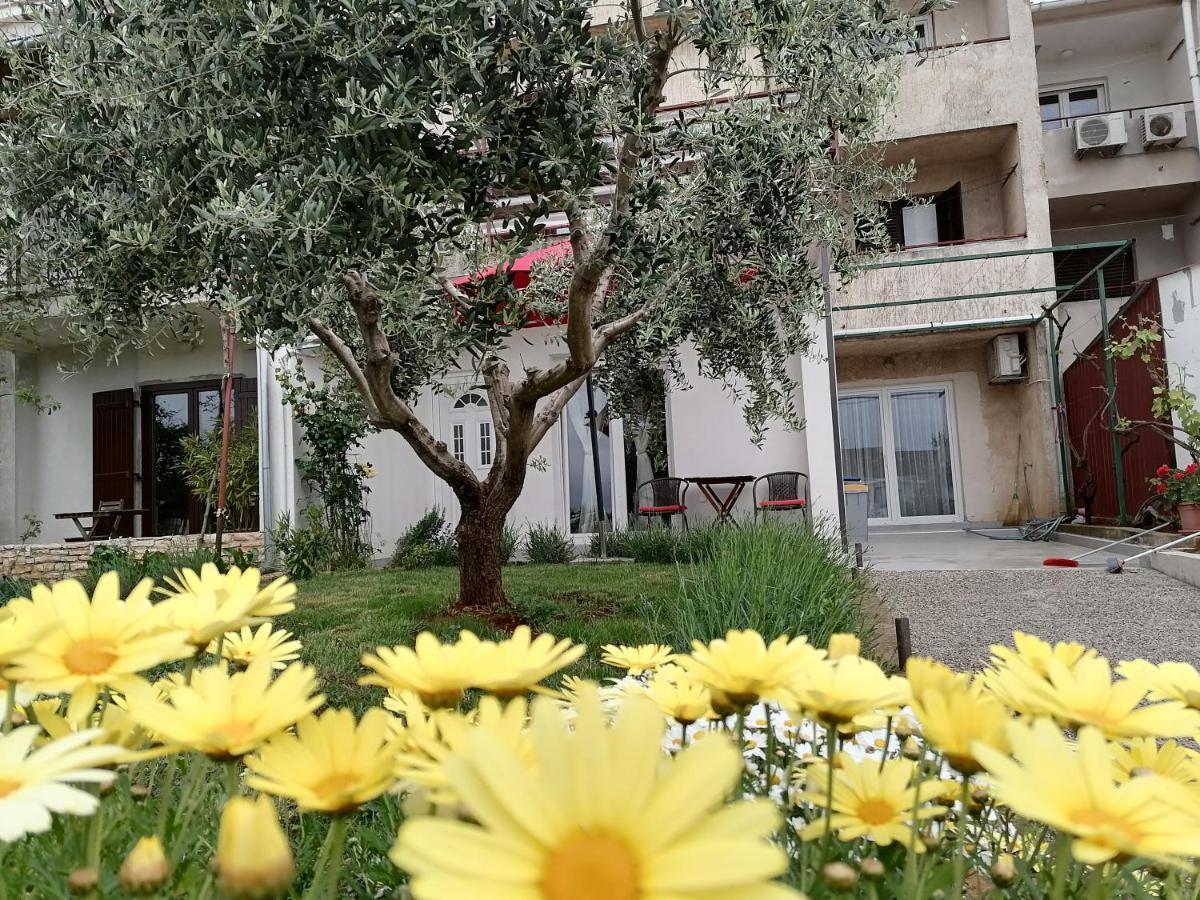 Leona Apartment Vidikovac, Pula Exterior photo